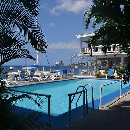 Anchorage Hotel, Whale Watch & Dive Center ロゾー エクステリア 写真