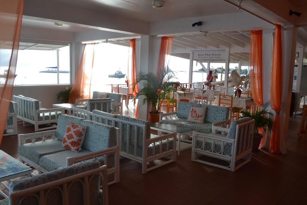 Anchorage Hotel, Whale Watch & Dive Center ロゾー エクステリア 写真
