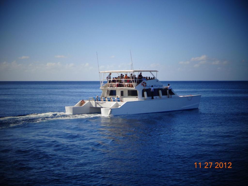 Anchorage Hotel, Whale Watch & Dive Center ロゾー エクステリア 写真