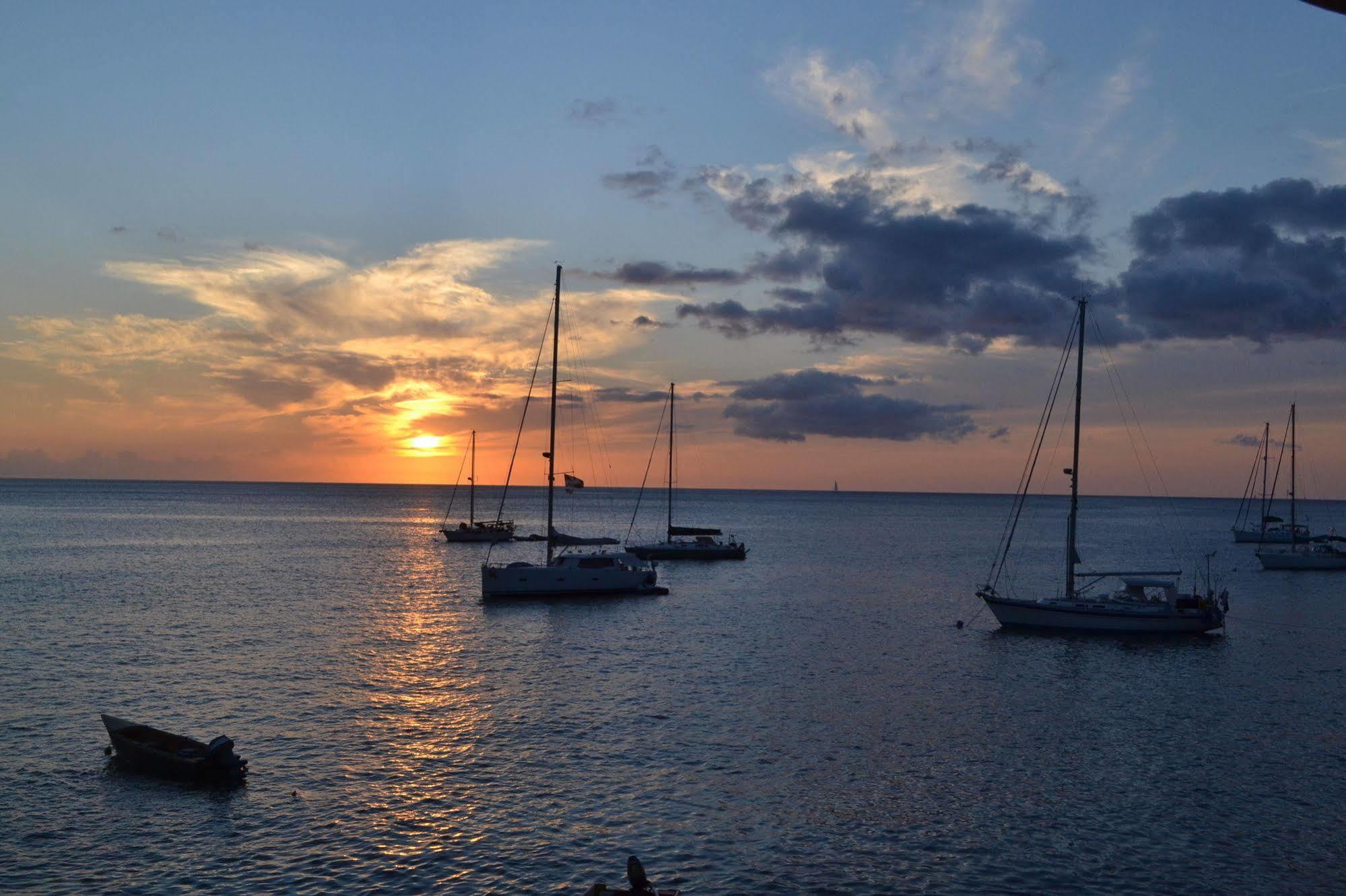 Anchorage Hotel, Whale Watch & Dive Center ロゾー エクステリア 写真