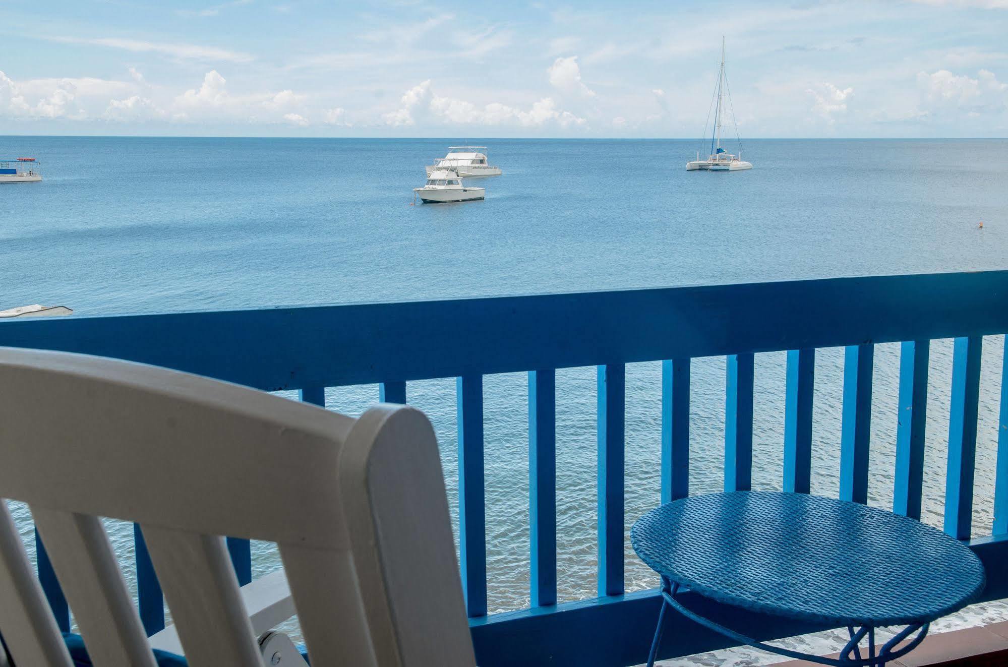 Anchorage Hotel, Whale Watch & Dive Center ロゾー エクステリア 写真